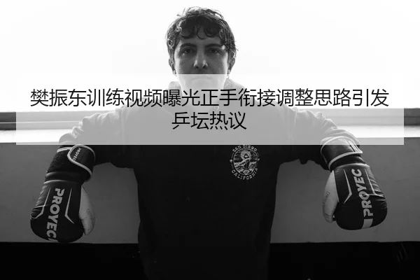 樊振东训练视频曝光正手衔接调整思路引发乒坛热议