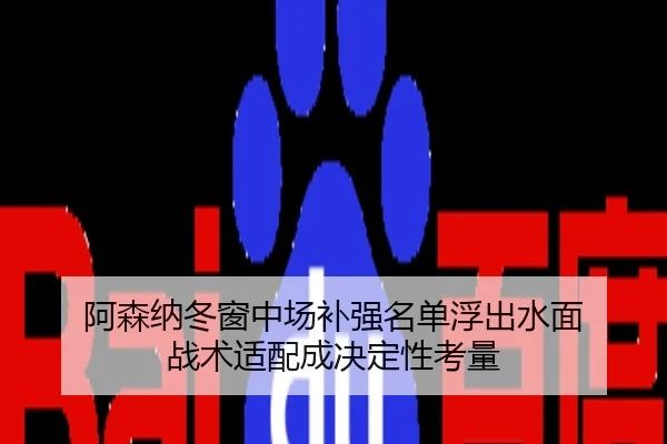 阿森纳冬窗中场补强名单浮出水面 战术适配成决定性考量